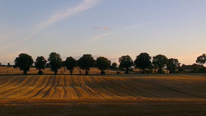 Abendstimmung über den Feldern