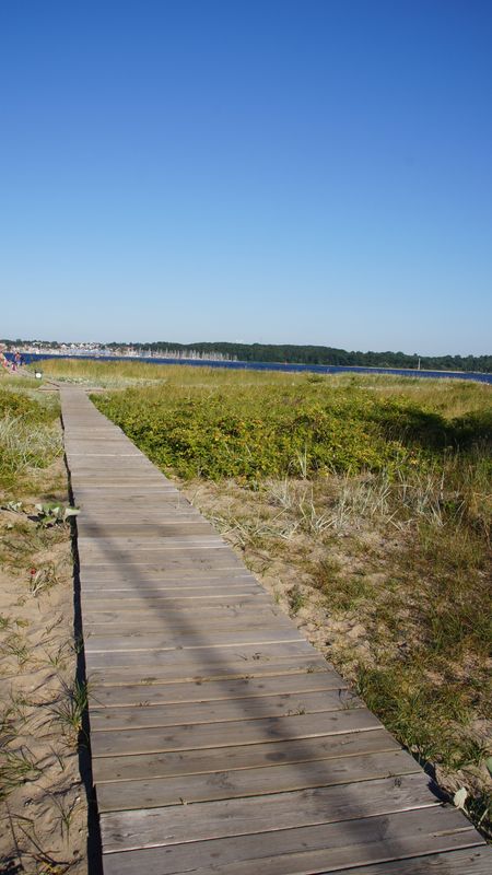 Holzsteg durch die Dünen zum Strand